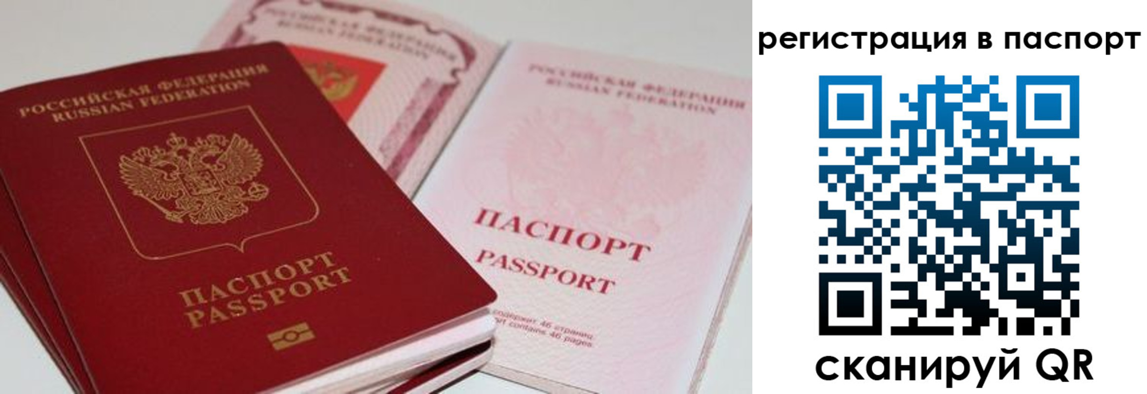 найти адрес прописки в Братске